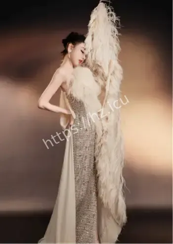 宋祖儿税务补缴271万事件